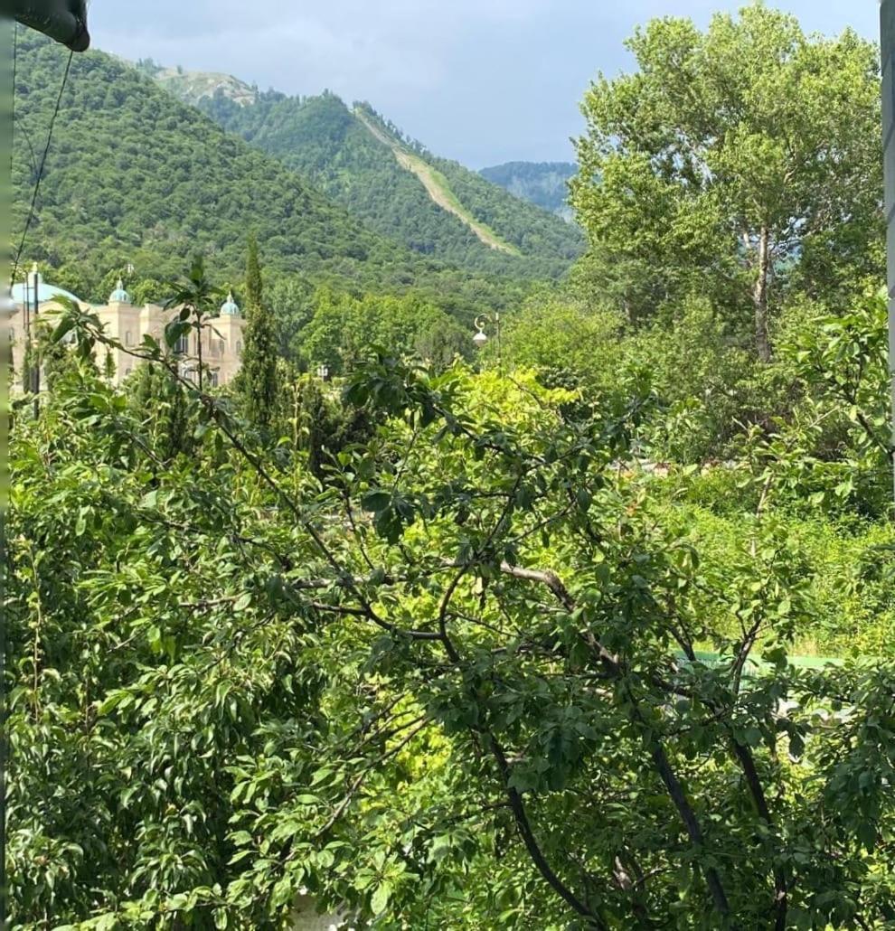 Panoramic Tufandag Family Apartment Gabala Ngoại thất bức ảnh